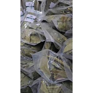 High Quality Soursop Leaves <b>Tea</b> Cut and Sifted Wholesale Supplier - Product Image 5