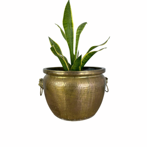 Maceta de metal martillado color cobre con asas, estilo rústico vintage, para plantas verdes de interior. - Product Image 4