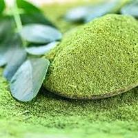 Bubuk Daun Moringa Organik Murni 100% Private Label, Grade Makanan, Premium, Tersedia dalam Kemasan 1kg, Supplier Grosir