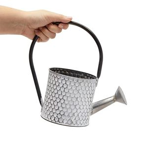 Regadera de Metal Galvanizado Estilo Rústico Vintage, Maceta y Pulverizador de Plantas para Decoración de Jardín - Product Image 3