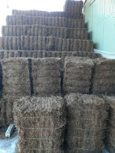 Hojas de Mesona Chinensis Secas Premium para Té de Hierbas y Postres, Ingredientes Naturales de Vietnam, Sin Aditivos - Product Image 3