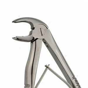 Pinzas de Extracción Manuales de Acero Inoxidable ARISTON INTERNATIONAL, Diseño Cónico Inferior Anterior, Patrón Inglés, en Venta a Bajo Precio - Product Image 2