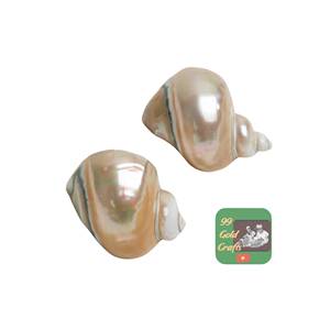 Anillo para Servilletas de Concha Marina Natural Ecológico de Bajo Costo, No Tóxico, para el Mercado Coreano del Bienestar, Venta Directa de Fábrica al Por Mayor - Product Image 2
