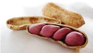 Noix de cajou de qualité supérieure (arachides) – Fournisseur Vietnamien, Crues/Blanchies, Naturelles // <span class=keywords><strong>Mr</strong></span>.Tom - Product Image 5