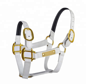 Harnais de cheval en PVC coloré de conception haut de gamme pour la course hippique, équipement équestre, harnais en nylon avec rembourrage doux - Product Image 2