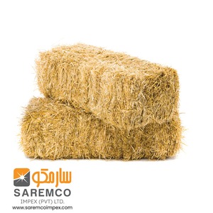 Qualité d'exportation de foin de paille de riz foin de paille de riz à vendre du Pakistan - Product Image 3