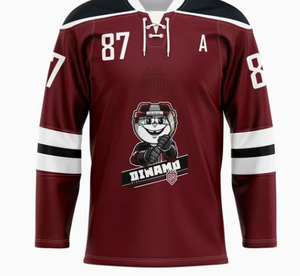 Maillot de hockey sur glace personnalisé, respirant, à séchage rapide, en polyester, nom de l'équipe, numéro du joueur, manches longues, col en V, vêtements de sport - Product Image 3