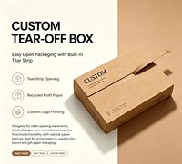 Boîtes personnalisées en papier kraft recyclé en forme d'avion avec bande de déchirement et fermeture éclair, écologiques, faciles à ouvrir, pour envoi postal, avec logo imprimé sur mesure