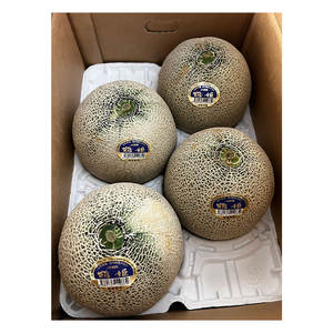 Variedades de Melón Verde y Rojo de Calidad Admirable y Excelente Calificación, Selección Extensa de Frutas Frescas de Japón, Venta al por Mayor - Product Image 1