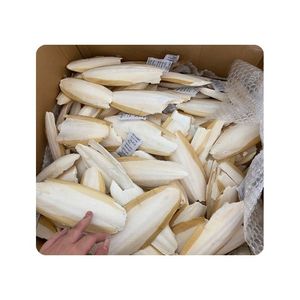 Hueso de Sepia de Alta Calidad, Precio Mayorista Económico, Alto Contenido de Calcio, Hueso de Sepia Natural Premium, Suministro a Granel de Fábrica - Product Image 6
