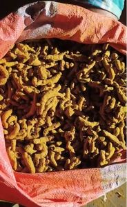 Poudre de curcuma crue séchée AD, saine et biologique, pour la préparation quotidienne des repas à la maison, directement de l'usine à bas prix - Product Image 3