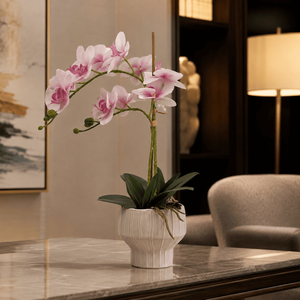 Fiori Decorativi di Orchidea Phalaenopsis per Interni di Ville e Appartamenti - Product Image 1