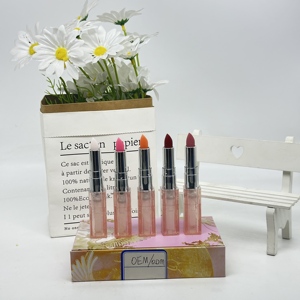 Juego de Lápices Labiales Veganos Minerales Hidratantes e Impermeables de Moda Popular para Mujer, Compuesto por Cinco Artículos - Product Image 5