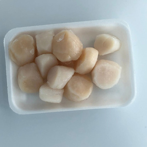 หอยเชลล์แช่แข็ง - Product Image 5