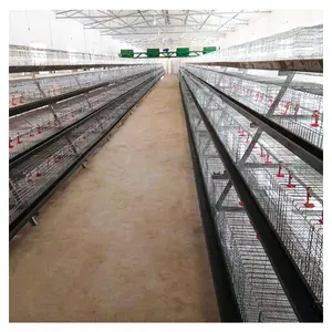 易于清洁的热浸镀锌层设备鸡电池笼，带自动收集鸡蛋