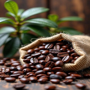 Granos de Café Tostados con Sabor Intenso, Aroma Profundo, Final Suave y Carácter Fresco para Cafeterías, Hoteles, Restaurantes y Hogares - Product Image 2