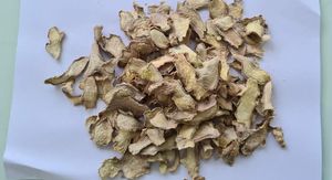 Rodajas de Jengibre Deshidratadas Orgánicas Premium de Sikkim, Grado Alimenticio, Suministro a Granel para Aplicaciones de Té y Procesamiento de Alimentos - Product Image 2