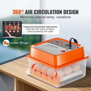 Incubatrice Automatica di Alta Qualità per 12 Uova con Controllo Temperatura e Umidità, Girauova in Materiale PC per la Schiusa delle Uova - Product Image 2