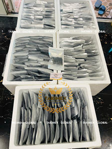 Uvas de Mar de Primera Calidad, Caviar Verde de Latok, Vietnam, Takimex Global, para Sushi y Ensaladas, en Bolsa de 100g, Lista para Exportar - Product Image 6