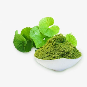 VENDO 100% POLVO DE CENTELLA PREMIUM ELABORADO DE TÉ NATURAL, SEGURO PARA HACER, CUIDADO DE LA PIEL Y MUCHOS OTROS USOS/Sra. Sarah + 84 395872890 - Product Image 3