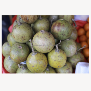 Pomme de bois fraîche (fruit de Bael) de qualité supérieure, fruit tropical naturel, vente en gros, fournisseur d'exportation du Bangladesh - Product Image 4