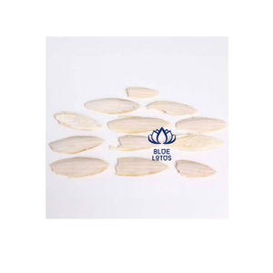 BEST Natural Cuttlefish Bone Premium Calcium Source for Bird Cage Pet Products Export Wholesale Market - Product Image 1