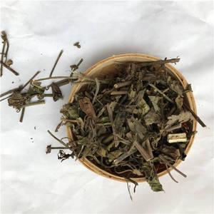 Orthosiphon Stamineus : Matière première végétale et extrait botanique de qualité supérieure, forte demande, prix abordable - Product Image 4