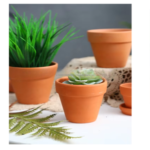 Elegante maceta de terracota de arcilla simple para plantas caseras y suculentas de varios tamaños - Product Image 1