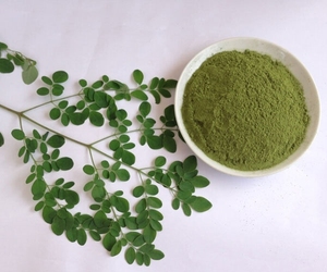BEST SELLER Poudre de Moringa Biologique pour Cosmétiques et Soins de la Peau 10kg 100% Naturelle et Pure Procédé par Pulvérisation/Séchage Disponible en Vrac - Product Image 2