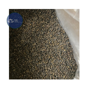 Té de Flores de Papaya Secas Puras Premium, Bebida Herbal Sostenible, Blue Lotus Gold Vietnam, Vida Útil de 12 Meses - Product Image 4