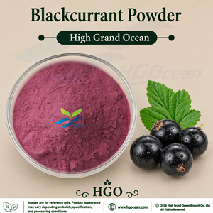 Suministro Directo de Fábrica HGO de Polvo de Grosella Negra Pura y Natural (Grado Alimenticio), Polvo de Fruta Secado por Aspersión o Liofilizado - Product Image 1