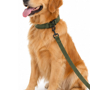 Venta Directa de Fábrica, Correas para Perros con Hebilla Metálica Ajustable, Transpirables, con Patrón Sólido, al por Mayor - Product Image 4
