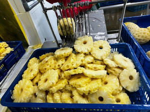Cubes d'ananas surgelés IQF du Vietnam, morceaux d'ananas naturels sucrés, qualité export en vrac, prêts à l'emploi - Mme Tarina - Product Image 5