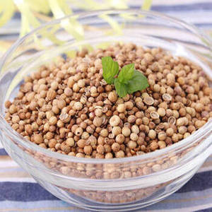 Semillas de Cilantro Indio Enteras de Primera Calidad, Nueva Temporada, 100% Naturales, Secas, de Gujarat, Venta al Por Mayor Global, Larga Duración (12 Meses) - Product Image 1