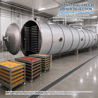 Industriële fruit- en groente-vriesdroogmachine FFD-100, ca. 100 m² 1000 kg partij voor de verwerking van ingrediënten en snacks