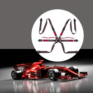 Harnais de course à 6 points TBRACING ULTRA-D 2" FIA 8853-2016, breveté à Taïwan, personnalisable, 16 couleurs, sangle fluorescente, OEM - Product Image 1