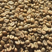 Café en grains entiers de qualité 1 du Vietnam, prix compétitifs direct usine, calibres 13, 14 et 16, propre et emballé en vrac