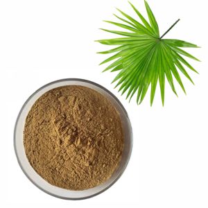 Polvo de Saw Palmetto 100% Puro y Natural OEM ODM con Ácido Graso Activo, Polvo de Saw Palmetto Premium para el Crecimiento del Cabello - Product Image 2