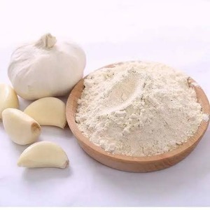 Poudre d'ail de qualité supérieure pour assaisonnement et cuisine, poudre d'ail déshydratée de qualité alimentaire, vente en gros, exportation en vrac, Inde - Product Image 1