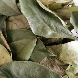 Guanábana Té de hierbas de hoja entera Mejor precio de exportación Producto agrícola - Product Image 3