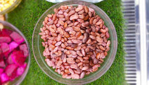 New Season Indian <b>Red</b> Rajma Kidney Beans Premium Quality Natural Pulses Dried 24 Months Shelf Life for International <b>Food</b> - Product Image 2