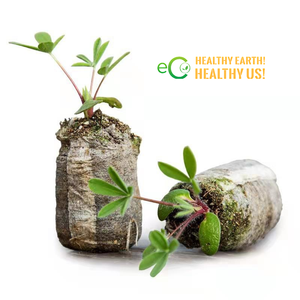 Vente directe d'usine, pastilles de coco biodégradables, écologiques, pour usage en jardinage, 100% fibres de coco de haute qualité, naturelles, Eco2go - Product Image 1