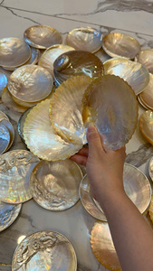 Plat de service pour caviar en nacre blanche, coquille entière polie, vaisselle de luxe pour caviar - Product Image 4
