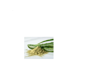 Polvo de Aloe Vera Orgánico Premium, Extracto Herbal Natural para Hidratación de la Piel, Salud Digestiva, Apoyo Inmunológico, Desintoxicación y Equilibrio Energético - Product Image 1