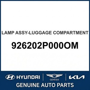 Luz Interior Nueva para Santa Fe 926202P000OM - Product Image 1