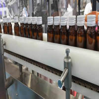 Machine de capsulage de remplissage automatique de bouteilles de sirop contre la toux pour ligne de production