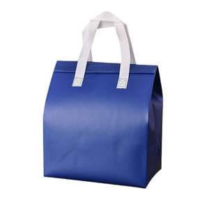 Sacs isothermes réutilisables en non-tissé écologiques avec logo personnalisé - Sacs pour aliments, lait, gâteaux - En stock, livraison rapide - Product Image 1