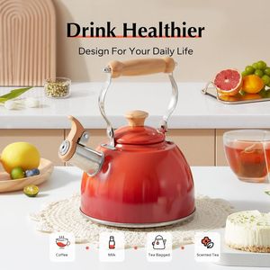 Bollitore da tè in acciaio inossidabile con manico ergonomico Cool Touch, teiera a fischio per piano cottura, per uso alimentare - Product Image 2