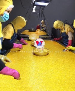 Puré de Maracuyá Congelado de Vietnam – Sabor Natural, Calidad Premium, Suministro Confiable - Product Image 2