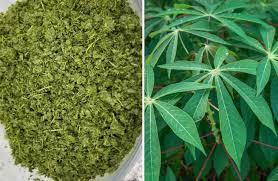 Feuilles de Manioc Congelées Nouvelle Récolte Forte Demande Fournisseur en Gros - Meilleur Prix pour l'Exportation - Product Image 4